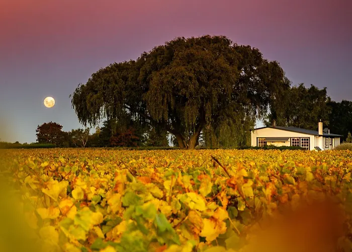 B&B only: St Leonards Vineyard Cottages